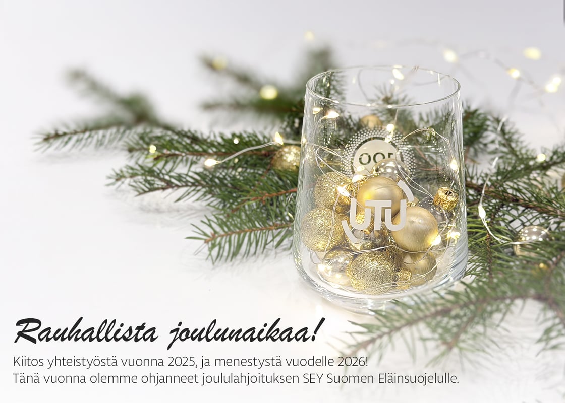 Joulu 2025 uutiskirje-1